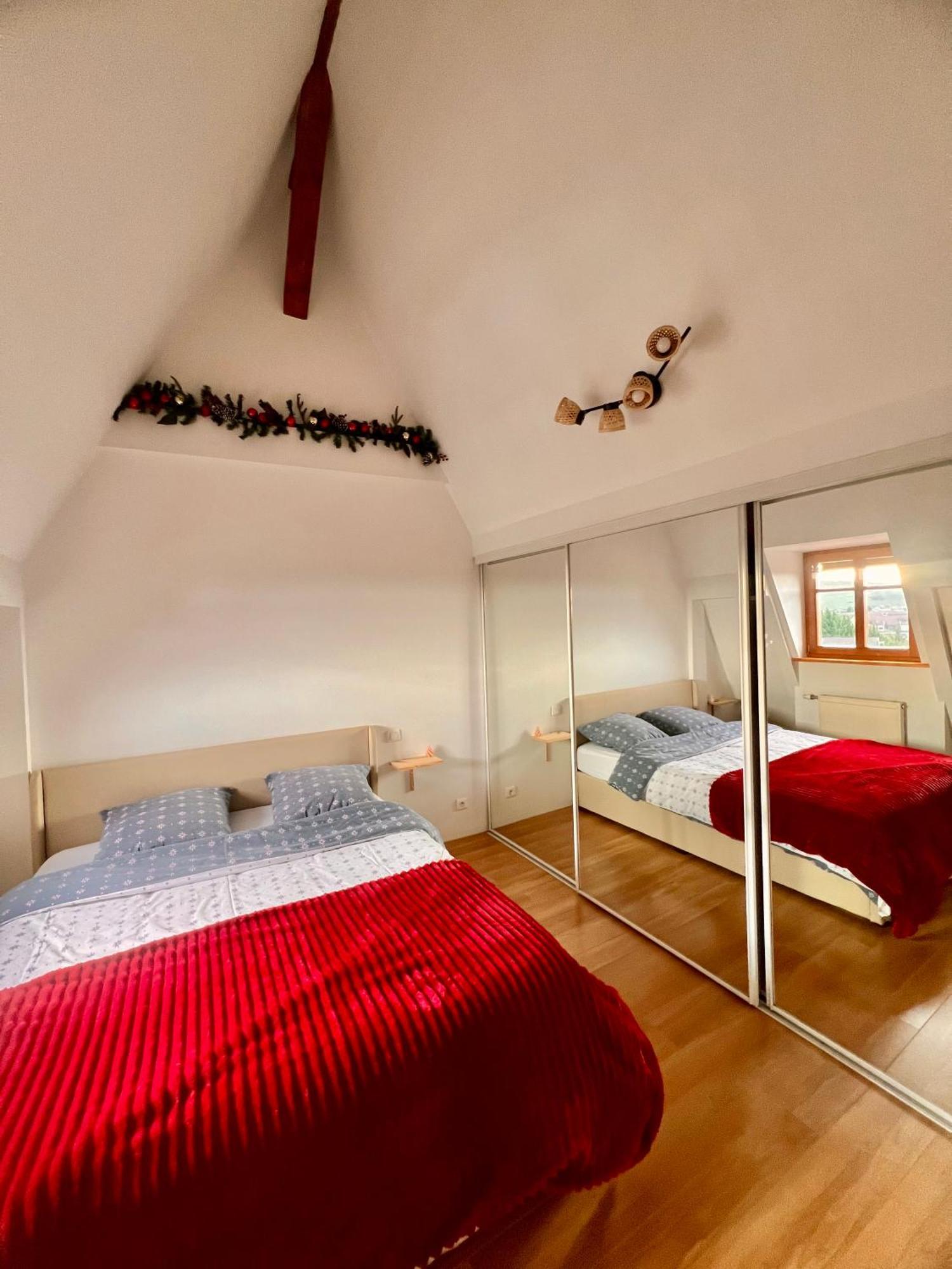 Duplex Au Coeur De Turckheim, 10 Min De Colmar Et Place De Parking Buitenkant foto
